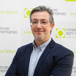 César Díaz Barroso
